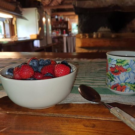 Anni Tourism Farm Villa Tammese Kültér fotó