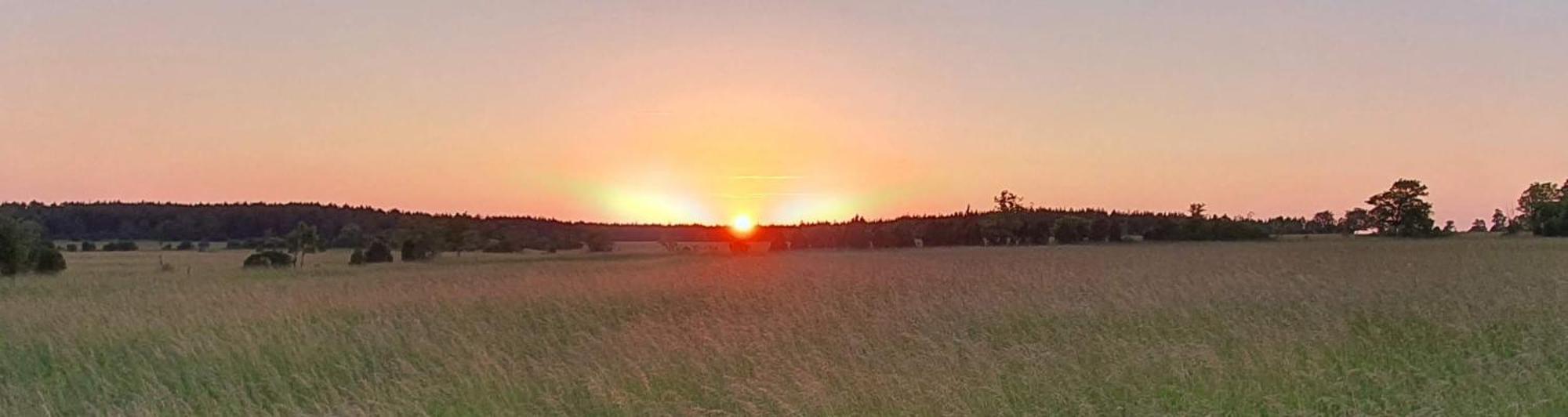 Anni Tourism Farm Villa Tammese Kültér fotó