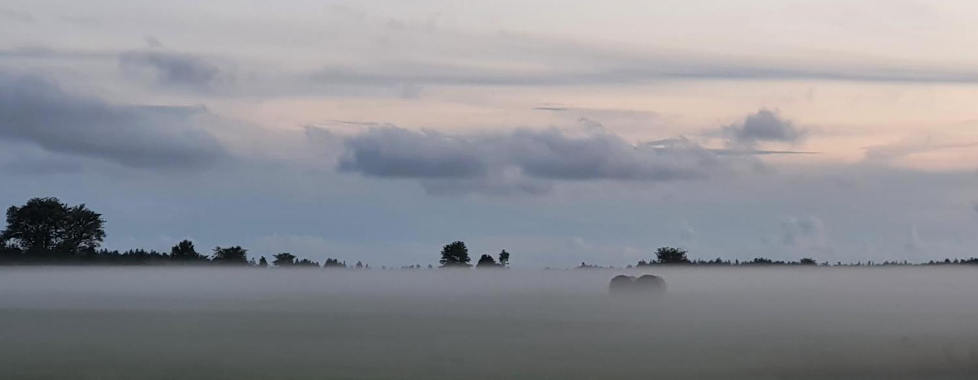 Anni Tourism Farm Villa Tammese Kültér fotó