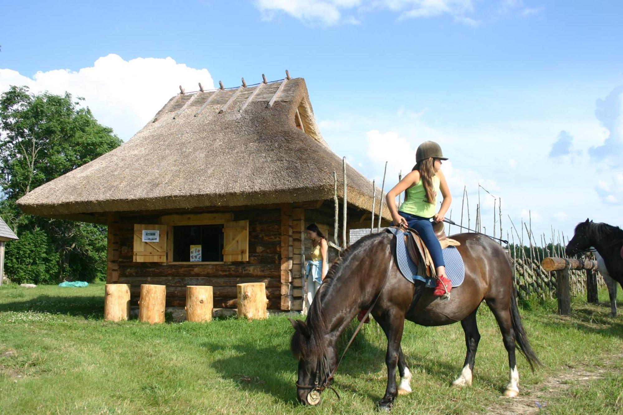 Anni Tourism Farm Villa Tammese Kültér fotó