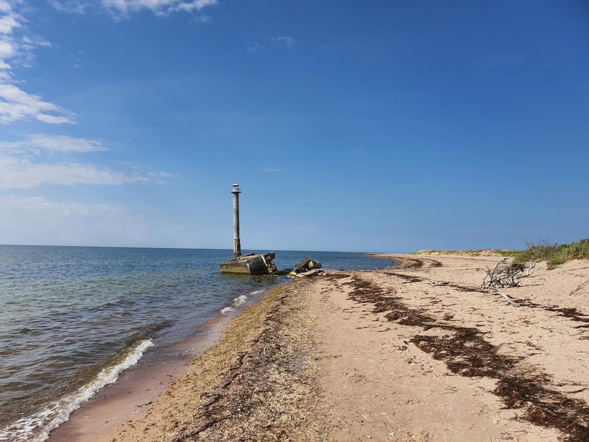 Anni Tourism Farm Villa Tammese Kültér fotó