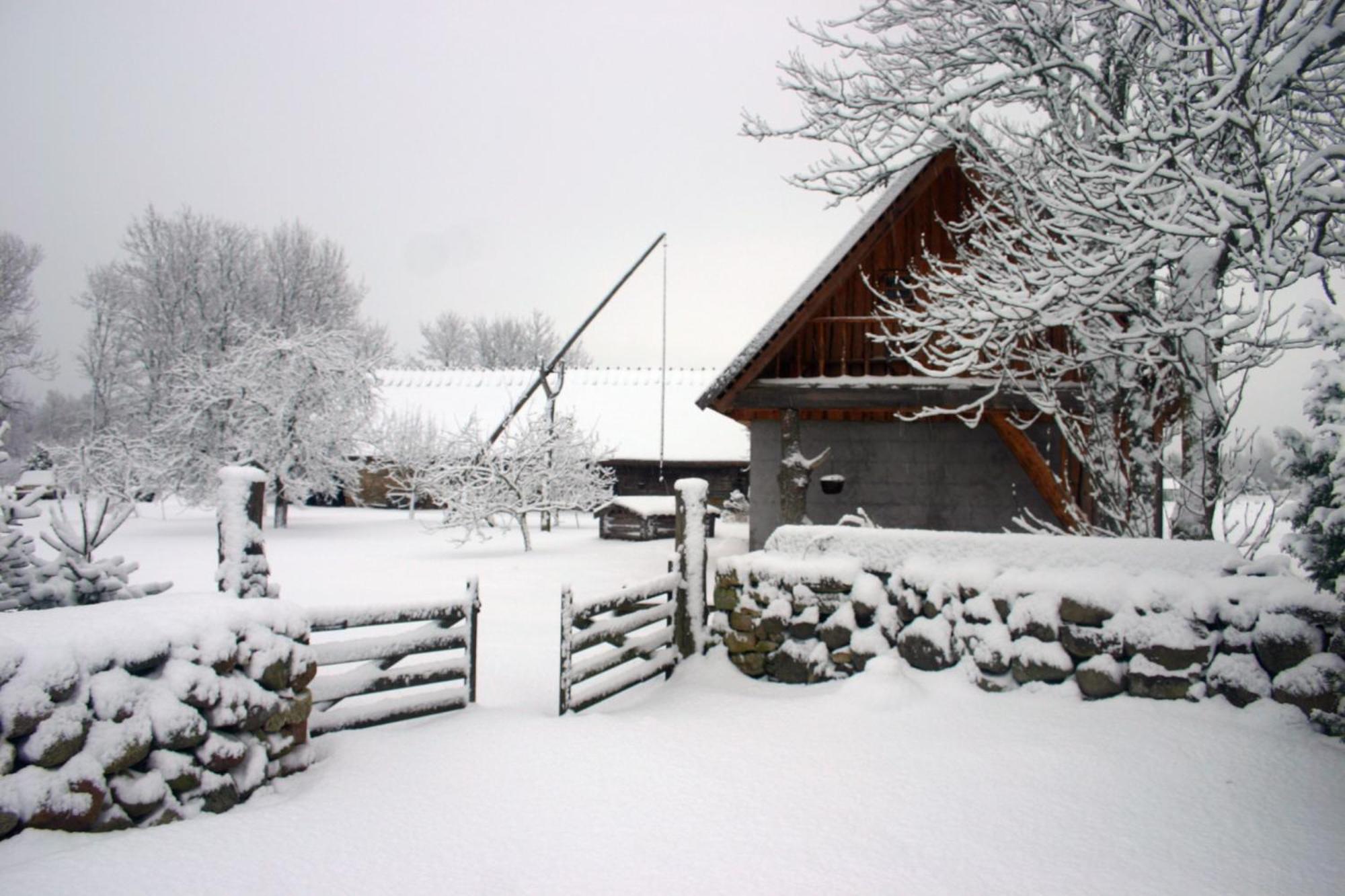 Anni Tourism Farm Villa Tammese Kültér fotó