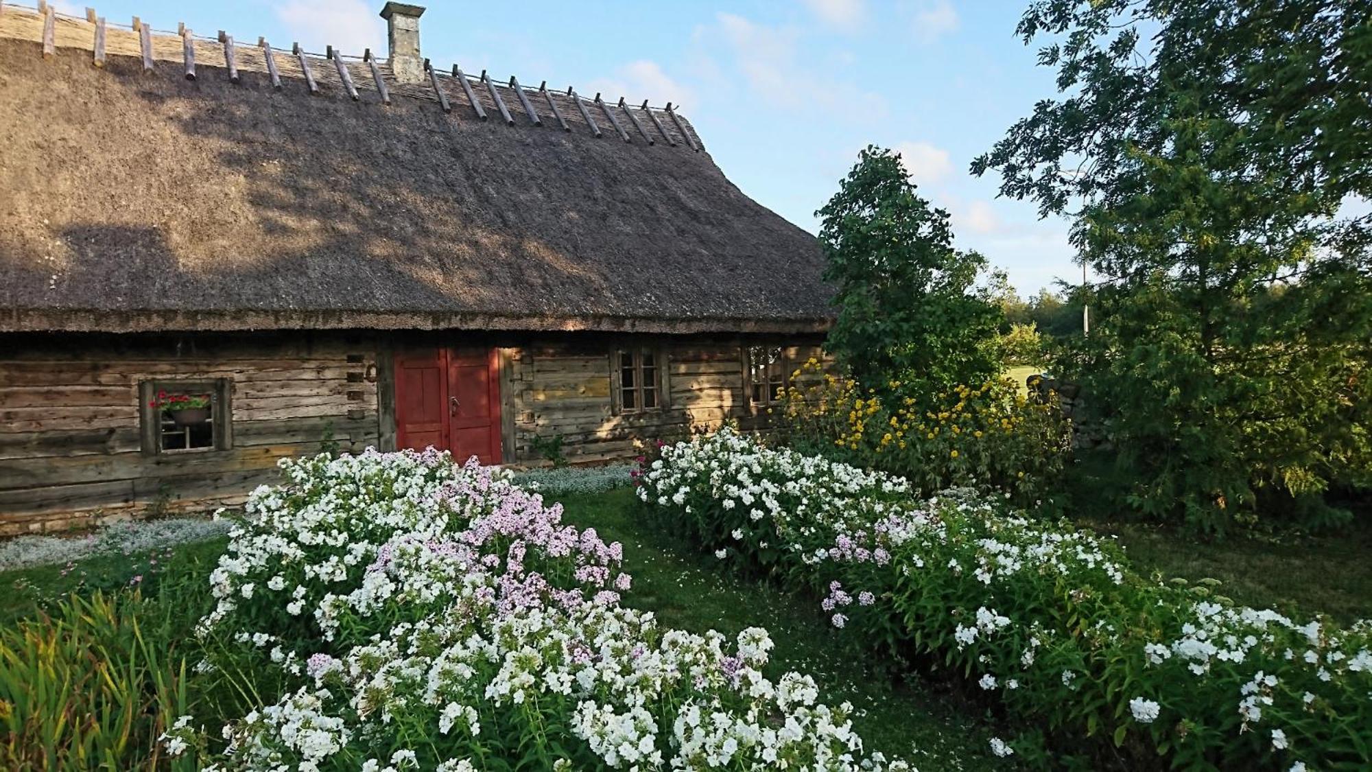 Anni Tourism Farm Villa Tammese Kültér fotó