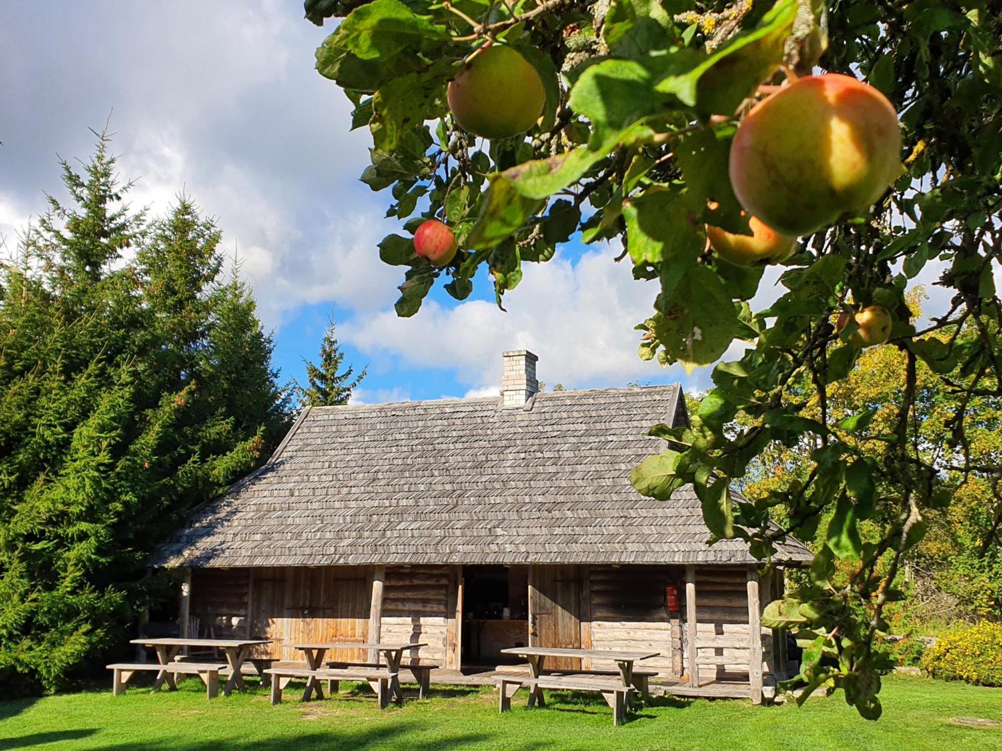 Anni Tourism Farm Villa Tammese Kültér fotó
